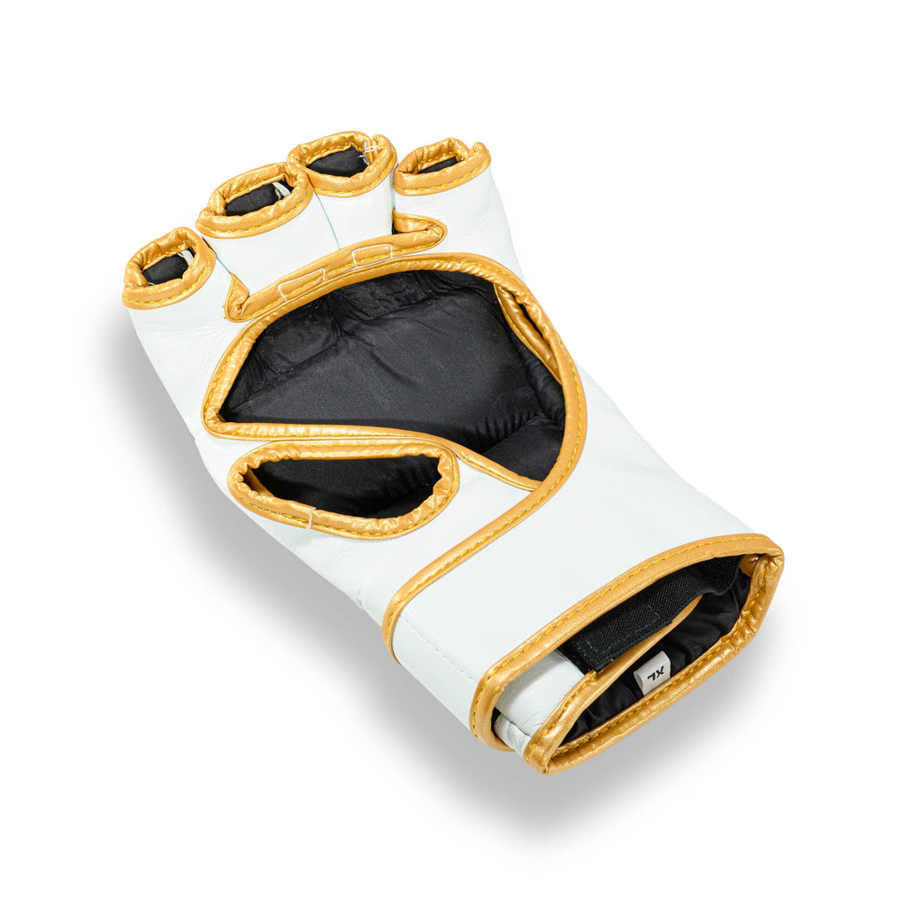 Blegend MMA Fight gloves White