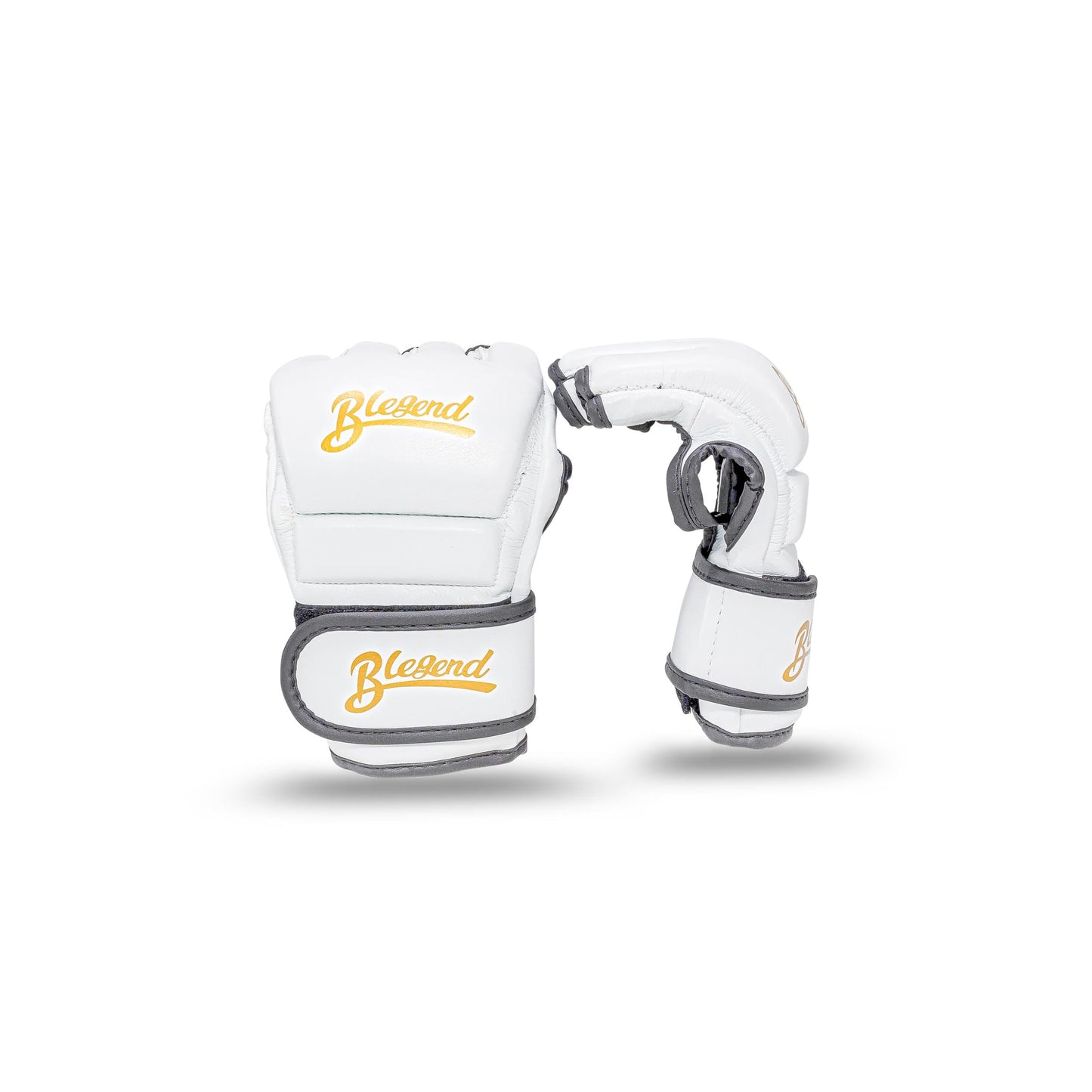 Blegend MMA Fight gloves