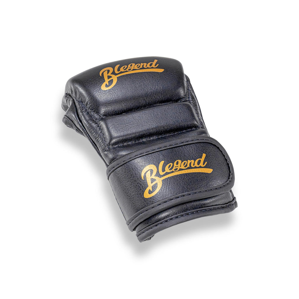 Blegend MMA Fight gloves black