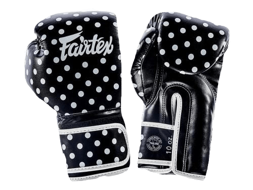 Fairtex Boxing Gloves BGV14 BP